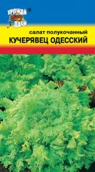 салат ОДЕССКИЙ КУЧЕРЯВЕЦ полукочанный / Урожай у Дачи /