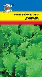 салат ДУБРАВА дуболистный / Урожай у Дачи /
