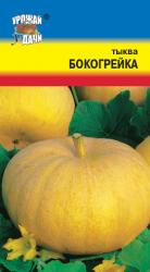 тыква БОКОГРЕЙКА / Урожай у Дачи /
