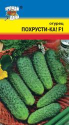 огурец ПОХРУСТИ - КА F-1 / Урожай у Дачи /