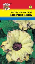цв.мног. ДАТУРА БАЛЕРИНА ЕЛЛОУ МЕТЕЛЬЧАТАЯ / Урожай у Дачи /