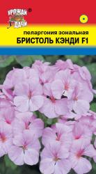 цв. комн. ПЕЛАРГОНИЯ ЗОНАЛЬНАЯ БРИСТОЛЬ КЭНДИ F1 Урожай у Дачи /