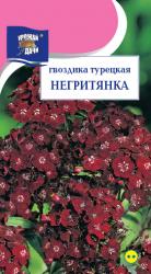 цв.мног. ГВОЗДИКА ТУРЕЦКАЯ НЕГРИТЯНКА / Урожай у Дачи /