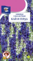цв.мног. ЛАВАНДА КАЙ И ГЕРДА узколистная / Урожай у Дачи /