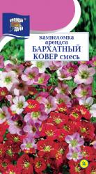 цв.мног. КАМНЕЛОМКА БАРХАТНЫЙ КОВЕР СМЕСЬ / Урожай у Дачи /