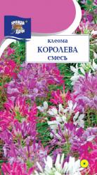 цв. одн. КЛЕОМА  КОРОЛЕВА  СМЕСЬ  / Урожай у Дачи /