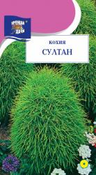цв. одн. КОХИЯ   СУЛТАН   / Урожай у Дачи /
