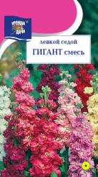цв. одн. ЛЕВКОЙ ГИГАНТ СМЕСЬ / Урожай у Дачи /