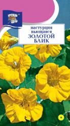 цв. одн. НАСТУРЦИЯ  ЗОЛОТОЙ   БЛИК   МАХРОВАЯ  вьющаяся   / Урожай у Дачи /