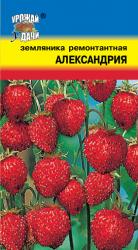 ЗЕМЛЯНИКА АЛЕКСАНДРИЯ ремонтантная / Урожай у Дачи /