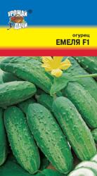 огурец ЕМЕЛЯ F1 / Урожай у Дачи /