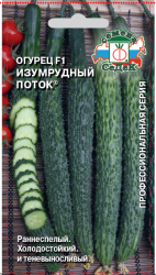 Огурец Изумрудный Поток F1   /Седек/