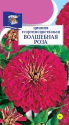 цв. одн. ЦИНИЯ  ВОЛШЕБНАЯ  РОЗА / Урожай у Дачи /