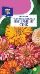 цв. одн. ЦИНИЯ  ПЕПЕРМИНТ СТИК  СМЕСЬ  / Урожай у Дачи /