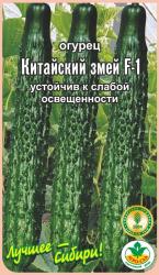 огурец КИТАЙСКИЙ ЗМЕЙ F-1 / АГРО САД / НОВИНКА !!!