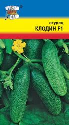 огурец КЛОДИН F-1 ОЧЕНЬ РАННИЙ / Урожай у Дачи / НОВИНКА !!!