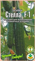 огурец СТЕЛЛА  F-1 пригоден для выращивания в комнатных условиях / АГРО САД / НОВИНКА !!!