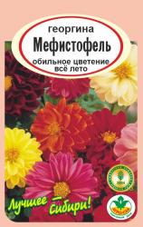 цв. одн. ГЕОРГИНА МЕФИСТОФЕЛЬ СМЕСЬ / АГРО САД / НОВИНКА !!!