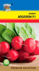 Редис АПОЛЛОН F-1 / Урожай у Дачи / новинка!!!