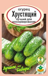огурец ХРУСТЯЩИЙ / АГРО САД /  НОВИНКА !!!