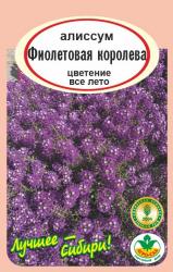 цв. одн. АЛИССУМ  ФИОЛЕТОВАЯ  КОРОЛЕВА / АГРО САД /