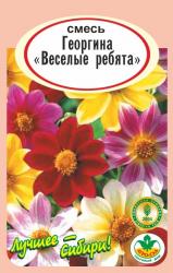 цв. одн. ГЕОРГИНА  ВЕСЕЛЫЕ  РЕБЯТА  СМЕСЬ / АГРО САД /