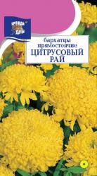 Бархатцы ЦИТРУСОВЫЙ РАЙ прямостоячие / Урожай у Дачи / НОВИНКА !!!