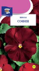 цв.мног. Виола СОФИЯ / Урожай у Дачи / новинка!