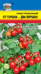 Томат ОТ ГОРШКА - ДВА ВЕРШКА / Урожай у Дачи /