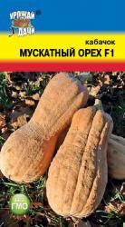 кабачок МУСКАТНЫЙ ОРЕХ F-1 / Урожай у Дачи /