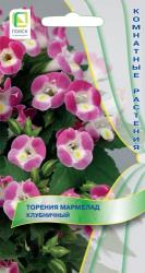 цв. комн. ТОРЕНИЯ МАРМЕЛАД КЛУБНИЧНЫЙ / ПОИСК /