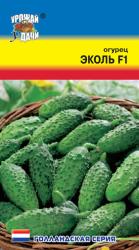 Огурец  ЭКОЛЬ F1   ПИКУЛИ  Самоопыляемый  / Урожай у Дачи /