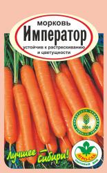 морковь ИМПЕРАТОР длина 25-30 см. / АГРО САД /