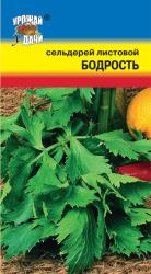 СЕЛЬДЕРЕЙ  ЛИСТОВОЙ  БОДРОСТЬ  / Урожай у Дачи /