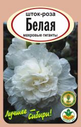 цв.мног. ШТОК - РОЗА БЕЛАЯ / АГРО САД /  НОВИНКА !!!