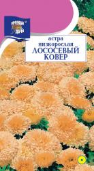 астра КОВЁР  ЛОСОСЕВЫЙ  НИЗКОРОСЛАЯ  / Урожай у Дачи /