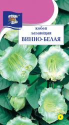 цв. одн. КОБЕЯ ВИННО-БЕЛАЯ ЛАЗАЮЩАЯ ВЬЮНОК до 400 см / Урожай у Дачи /