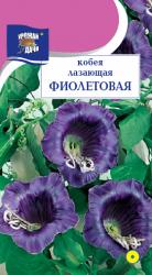 цв. одн. КОБЕЯ ФИОЛЕТОВАЯ / Урожай у Дачи /