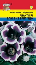 цв. комн. ГЛОКСИНИЯ АВАНТИ F1 БЛЮ ВИЗ ВАЙТ ЭДЖ / Урожай у Дачи /