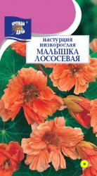 цв. одн. НАСТУРЦИЯ МАЛЫШКА лососевая КУСТОВАЯ / Урожай у Дачи /
