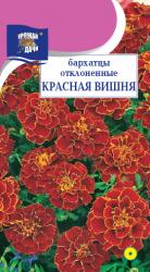 цв. одн. БАРХАТЦЫ КРАСНАЯ ВИШНЯ отклоненные / Урожай у Дачи /