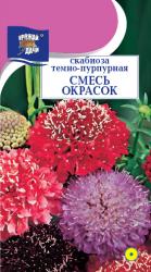 цв. одн. СКАБИОЗА  СМЕСЬ  ОКРАСОК / Урожай у Дачи /