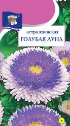 астра ЯПОНСКАЯ ГОЛУБАЯ ЛУНА / Урожай у Дачи /