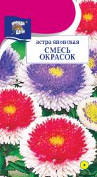 астра ЯПОНСКАЯ  СМЕСЬ  / Урожай у Дачи /