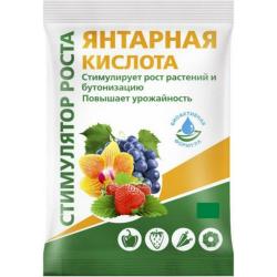 ЯНТАРНАЯ КИСЛОТА 4 гр