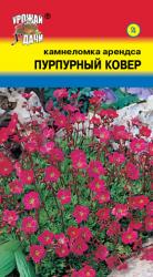 цв.мног. КАМНЕЛОМКА ПУРПУРНЫЙ КОВЕР / Урожай у Дачи /