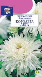 цв.мног. ХРИЗАНТЕМА КОРОЛЕВА ЛЕТА МАХРОВАЯ / Урожай у Дачи /