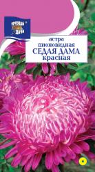 астра СЕДАЯ  ДАМА  КРАСНАЯ  пионовидная  / Урожай у Дачи /