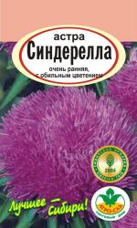 астра СИНДЕРЕЛЛА / АГРО САД /