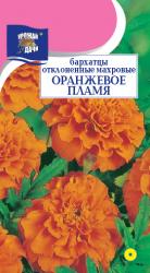 цв. одн. БАРХАТЦЫ ОРАНЖЕВОЕ ПЛАМЯ отклоненные / Урожай у Дачи /